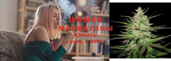 таблы Ельня