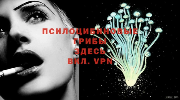 таблы Ельня