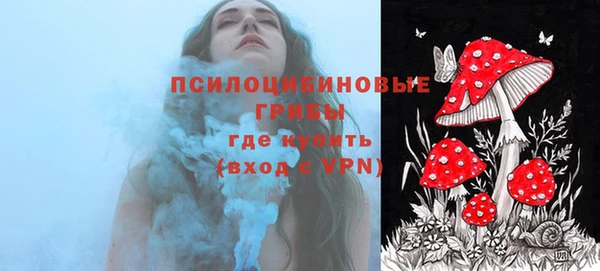 синтетический гашиш Елизово